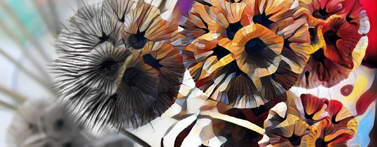 High resolution banner stylised with Style App